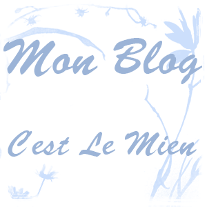 mon blog c'est le mien pas le votre!